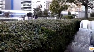 著正裝的公務員擁有媲美花樣少女的完美身材，突破禁忌，中出解禁！──紅葉心愛